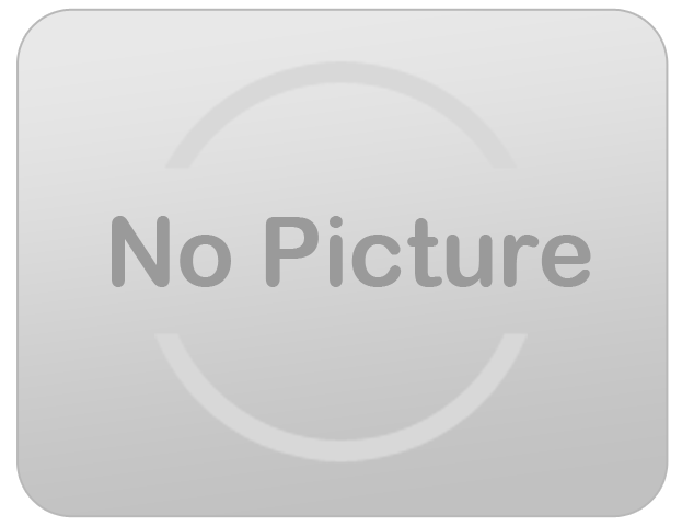 17ft Rockin Wave Dual lane Dry Slide 507 17ft Rockin Wave Dual lane Dry Slide 507